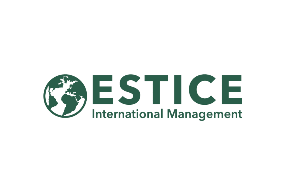 Accès au site web de estice, international management